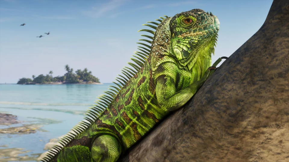 Close-up of a green iguana in the Leonida Keys in an official GTA 6 screenshot