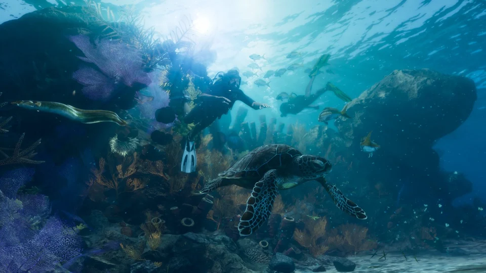 Sea turtle, fish and divers near the Leonida Keys in an official GTA 6 screenshot