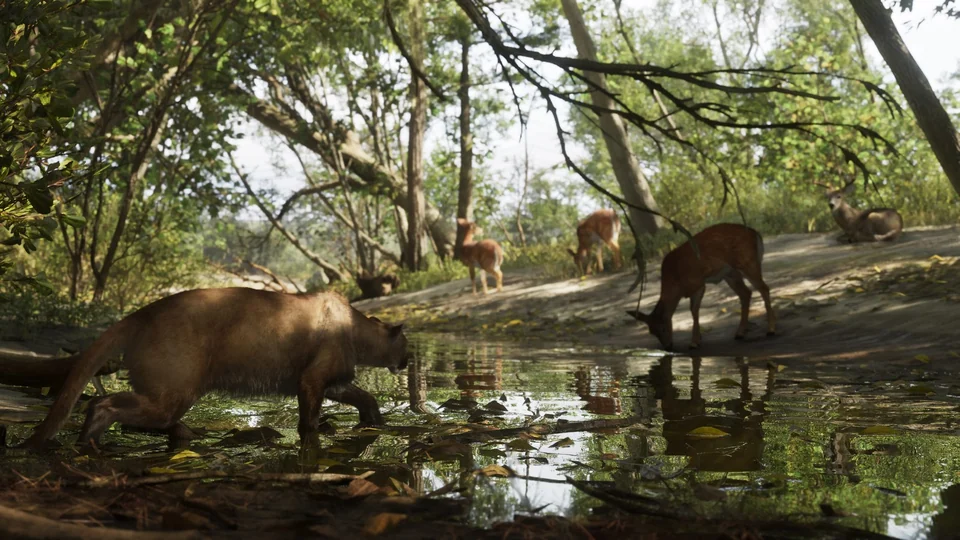 Cougars and deer by water in Mount Kalaga National Park in an official GTA 6 screenshot