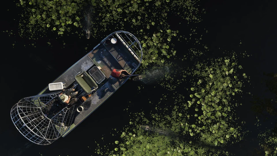 Un hidrodeslizador (airboat) recorre los pantanos de Grassrivers entre caimanes, captura oficial de Rockstar Games